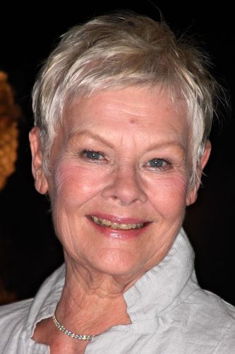 Judi Dench | Biography, Movie Highlights and Photos | AllMovie